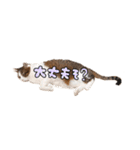 タルタルイトイト（個別スタンプ：6）