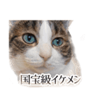 タルタルイトイト（個別スタンプ：22）