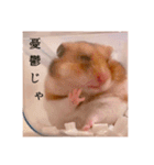 おかもんどフレンズ3（個別スタンプ：1）