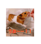 おかもんどフレンズ3（個別スタンプ：5）