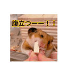 おかもんどフレンズ3（個別スタンプ：6）