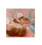 おかもんどフレンズ3（個別スタンプ：10）