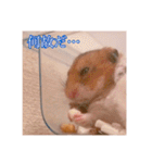 おかもんどフレンズ3（個別スタンプ：12）
