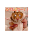 おかもんどフレンズ3（個別スタンプ：13）
