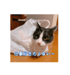 おかもんどフレンズ3（個別スタンプ：14）