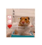 おかもんどフレンズ3（個別スタンプ：15）