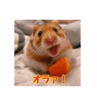 おかもんどフレンズ3（個別スタンプ：19）