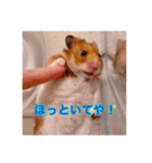 おかもんどフレンズ3（個別スタンプ：20）