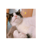 おかもんどフレンズ3（個別スタンプ：23）