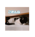 おかもんどフレンズ3（個別スタンプ：24）