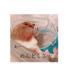 おかもんどフレンズ3（個別スタンプ：25）