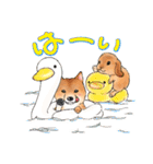北海道犬とロップイヤーラビット（個別スタンプ：2）