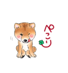 北海道犬とロップイヤーラビット（個別スタンプ：3）