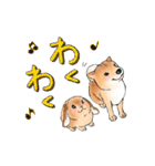北海道犬とロップイヤーラビット（個別スタンプ：9）