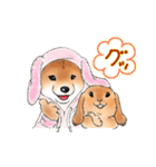 北海道犬とロップイヤーラビット（個別スタンプ：11）