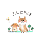 北海道犬とロップイヤーラビット（個別スタンプ：19）