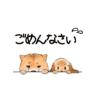 北海道犬とロップイヤーラビット（個別スタンプ：25）