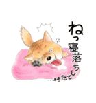 北海道犬とロップイヤーラビット（個別スタンプ：28）