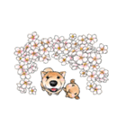 北海道犬とロップイヤーラビット（個別スタンプ：32）