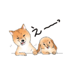 北海道犬とロップイヤーラビット（個別スタンプ：35）