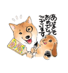 北海道犬とロップイヤーラビット（個別スタンプ：39）