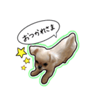 ペキチワのにこちゃん（個別スタンプ：10）
