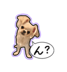 ペキチワのにこちゃん（個別スタンプ：18）