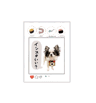 ♡Miura様（個別スタンプ：4）