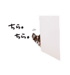 ♡Miura様（個別スタンプ：7）
