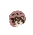 ♡Miura様（個別スタンプ：9）