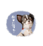 ♡Miura様（個別スタンプ：11）