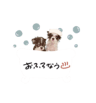 ♡Miura様（個別スタンプ：12）