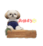 あんず＆あずき（個別スタンプ：4）