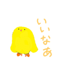 ぴよ丸 a Little Chikken（個別スタンプ：13）