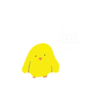 ぴよ丸 a Little Chikken（個別スタンプ：36）