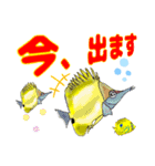 海水魚リロの仲間たち（個別スタンプ：5）