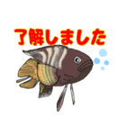 海水魚リロの仲間たち（個別スタンプ：16）