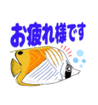 海水魚リロの仲間たち（個別スタンプ：23）