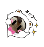 キュート・スタンプ（個別スタンプ：4）
