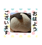 キュート・スタンプ（個別スタンプ：5）