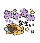 ジャーマンシェパード 2（個別スタンプ：4）