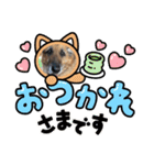 ジャーマンシェパード 2（個別スタンプ：5）