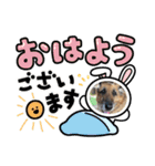 ジャーマンシェパード 2（個別スタンプ：7）