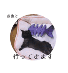 ガッシーねこーすの日常（個別スタンプ：10）