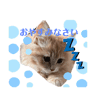 yukichi's sticker！（個別スタンプ：2）