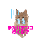 yukichi's sticker！（個別スタンプ：4）