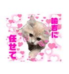 yukichi's sticker！（個別スタンプ：8）