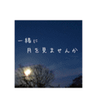 月とポエム、ちょっとおまけ 2（個別スタンプ：16）