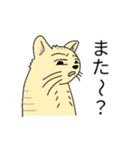 カギしっぽねこ 一言返信（個別スタンプ：12）