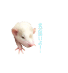 ラッツ！（個別スタンプ：2）